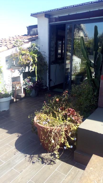 קטאניה Creative Apartment מראה חיצוני תמונה